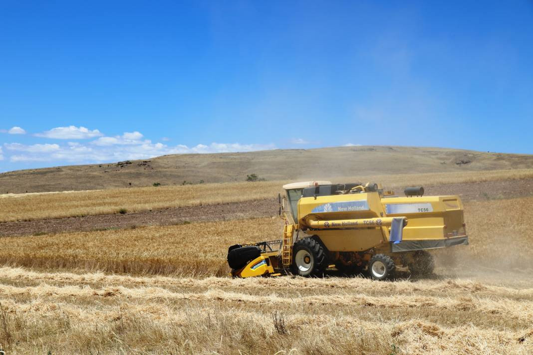 Çubuk Ovası'nda hububat hasadı başladı - Resim: 10